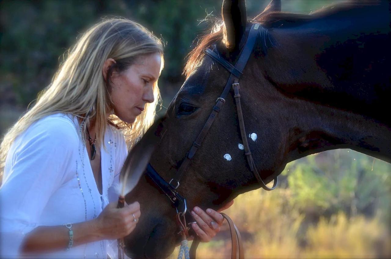 The Mountain Lion - Horses Sedona'S Most Loved Exterior photo