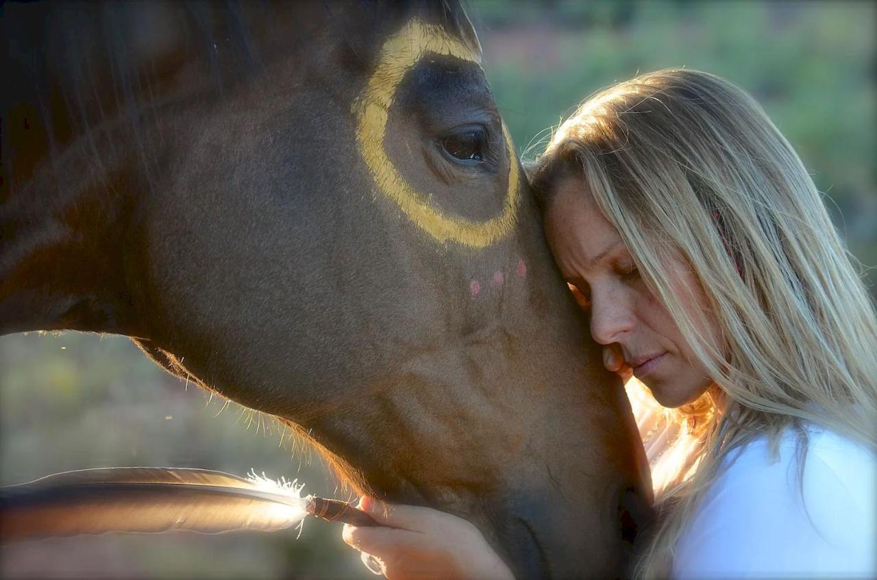 The Mountain Lion - Horses Sedona'S Most Loved Exterior photo